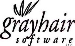 GRAYHAIR SOFTWARE INC logo
