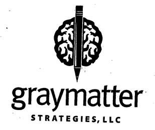 GRAYMATTER STRATEGIES logo