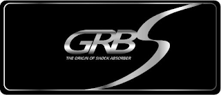 GRBS THE ORIGIN OF SHOCK ABSORBER logo