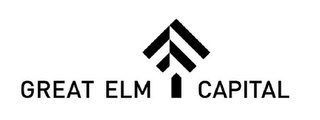 GREAT ELM CAPITAL logo