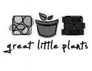 GREAT LITTLE PLANTS logo