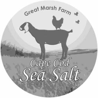 GREAT MARSH FARM CAPE COD SEA SALT logo