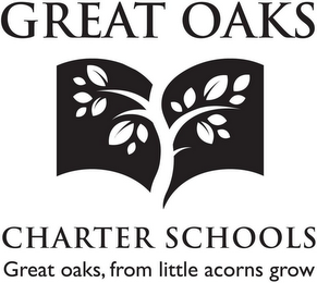 GREAT OAKS CHARTER SCHOOLS GREAT OAKS, FROM LITTLE ACORNS GROW logo
