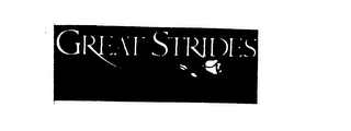 GREAT STRIDES