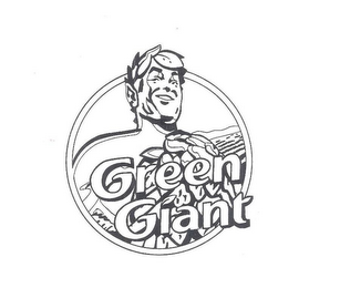 GREEN GIANT logo
