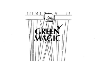 GREEN MAGIC logo