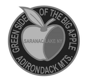 GREEN SIDE OF THE BIG APPLE ADIRONDACK MTS. SARANAC LAKE NY logo