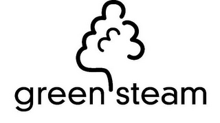 GREEN STEAM logo