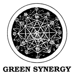 GREEN SYNERGY logo