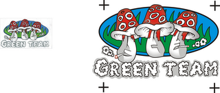 GREEN TEAM logo