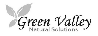 GREEN VALLEY NATURAL SOLUTIONS logo