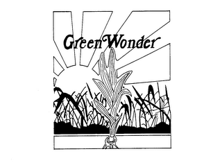 GREEN WONDER logo