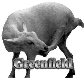 GREENFIELD logo