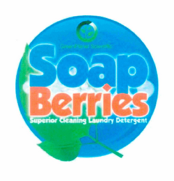 GREENPLANET SCIENTIFIC, SOAPBERRIES, SUPERIOR CLEANING LAUNDRY DETERGENT logo