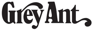 GREY ANT logo