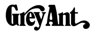GREY ANT logo