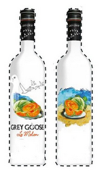 GREY GOOSE LE MELON logo