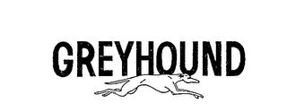 GREYHOUND logo