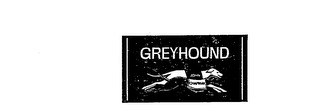 GREYHOUND logo