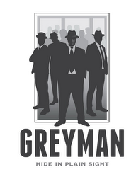 GREYMAN HIDE IN PLAIN SIGHT logo