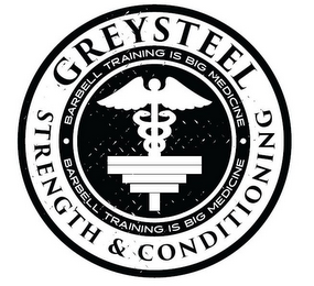 GREYSTEEL STRENGTH & CONDITIONING BARBELL TRAINING IS BIG MEDICINE logo