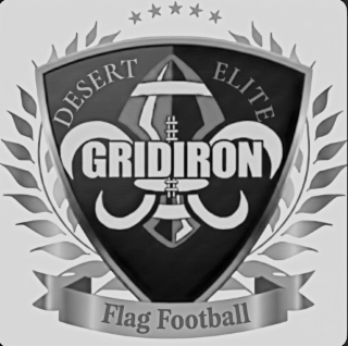 GRIDIRON DESERT ELITE FLAG FOOTBALL logo