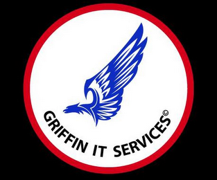 GRIFFIN IT SERVICES logo