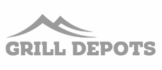 GRILL DEPOTS logo