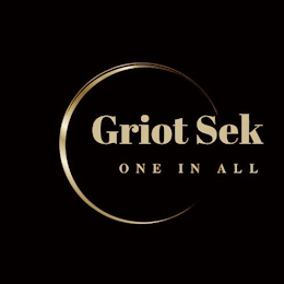 GRIOT SEK ONE IN ALL logo