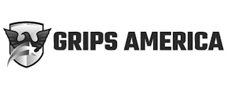 GRIPS AMERICA logo