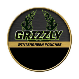 GRIZZLY WINTERGREEN POUCHES logo