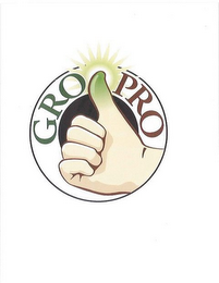 GRO PRO logo