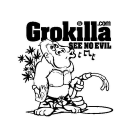 GROKILLA .COM SEE NO EVIL logo