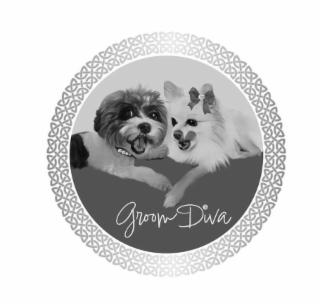 GROOM DIVA logo