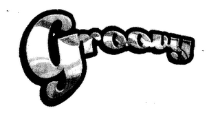 GROOVY logo