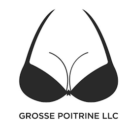 GROSSE POITRINE LLC logo