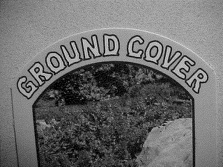 GROUND COVER logo