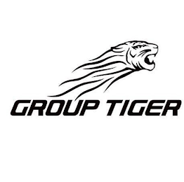 GROUP TIGER logo