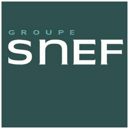 GROUPE SNEF logo