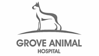 GROVE ANIMAL HOSPITAL logo
