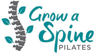 GROW A SPINE PILATES logo