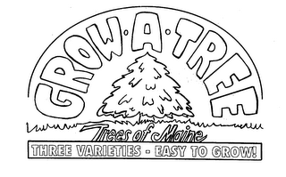 GROW A TREE, TREES OF MAINE, THREE VARIETIES - EASY TO GROW logo