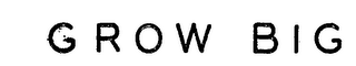 GROW BIG logo