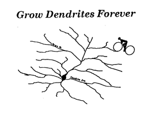 GROW DENDRITES FOREVER BRAIN ST DENDRITE AVE logo