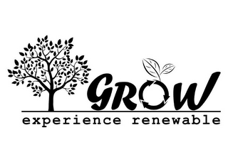 GROW EXPERIENCE RENEWABLE logo