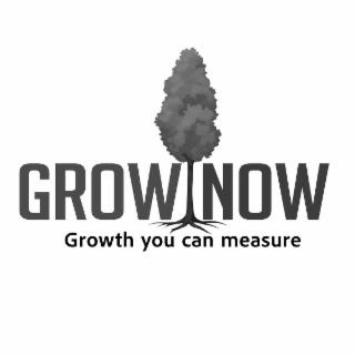 GROW NOW GROWTH YOU CAN MEASURE logo