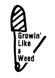 GROWIN' LIKE A WEED logo
