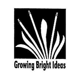 GROWING BRIGHT IDEAS logo