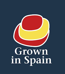 GROWN IN SPAIN logo