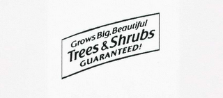 GROWS BIG, BEAUTIFUL TREES & SHRUBS GUARANTEED! logo